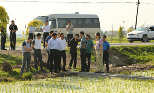 1635301531709075.jpg 2.jpg