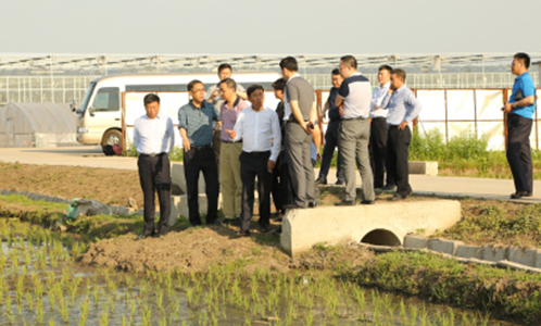 1635301623171630.jpg 5.jpg